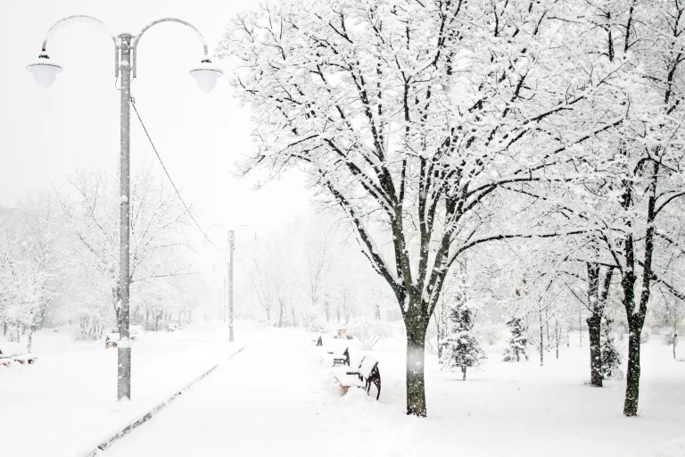 Tempête hivernale, fermeture des bâtiments municipaux